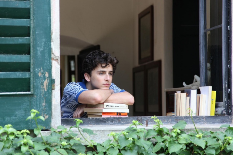 Call me by your name Luca Guadanigno