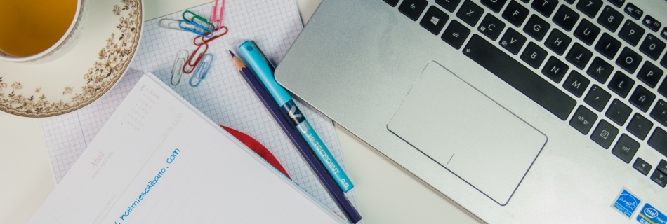 Redactor freelance